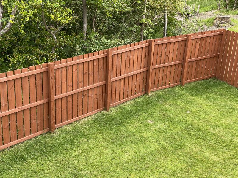 Fence and Garden Wall Painting